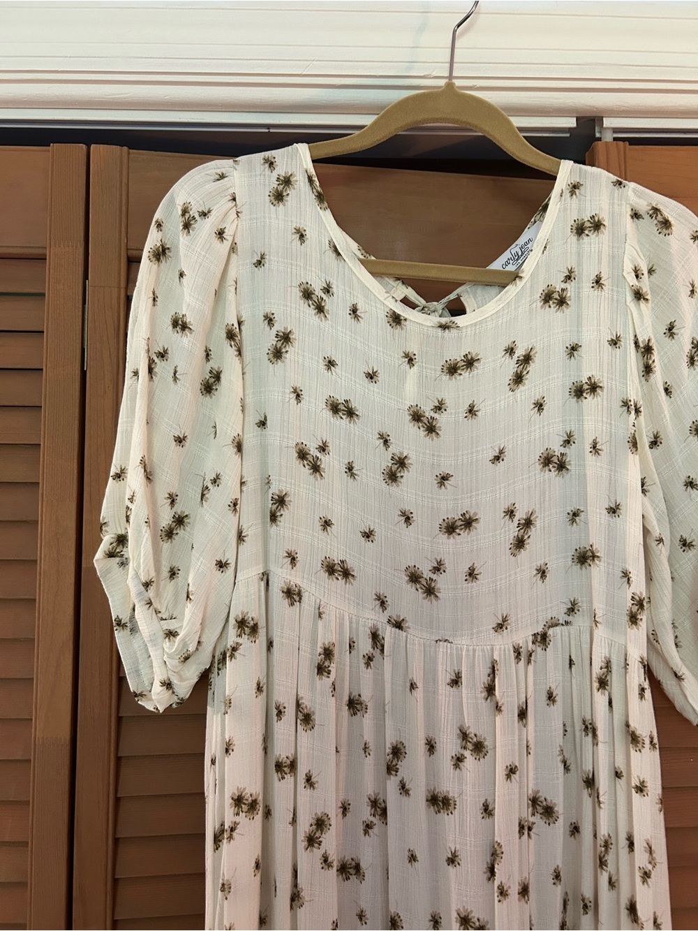 Carly Jean Los Angeles Cream Maxi Dress with Brown Floral Print - Picture 2 of 7